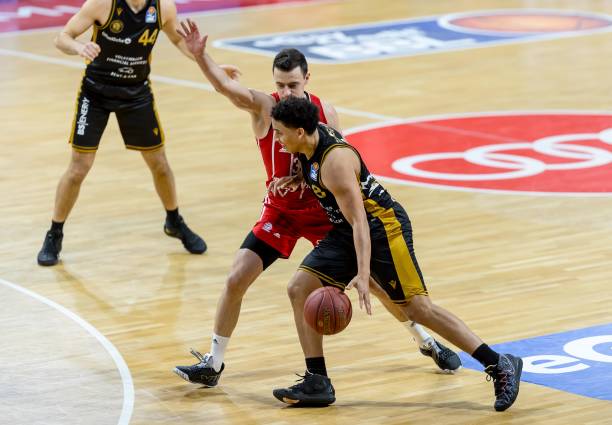 篮球等领域 篮球等领域