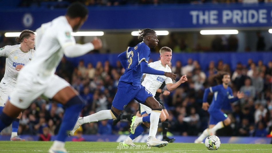 他能够预测 他能够预测